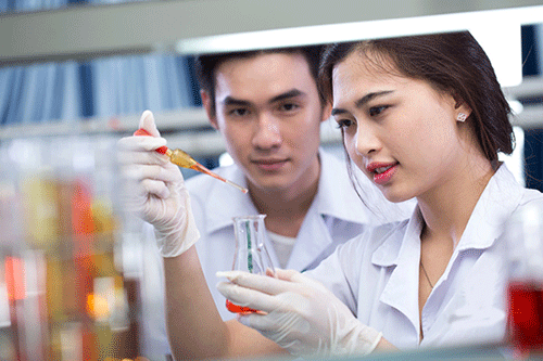 Điểm danh 12 trường Đại học chuyên đào tạo Y Dược tốt nhất ở Việt Nam