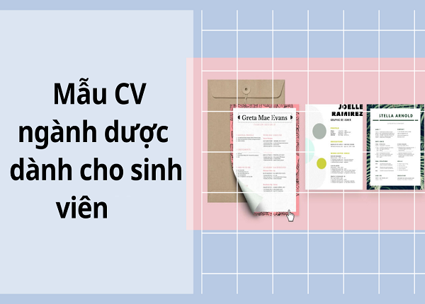 Cách trình bày CV ngành Dược giúp thu hút nhà tuyển dụng ngay từ đầu