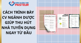 Cách trình bày CV ngành Dược giúp thu hút nhà tuyển dụng ngay từ đầu