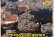  “Tảng đá biết ăn được” - Pyura chilensis - bí ẩn của vùng biển Chile
