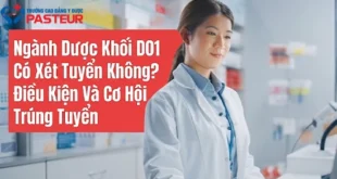 Ngành Dược Khối D01 Có Xét Tuyển Không? Điều Kiện Và Cơ Hội Trúng Tuyển